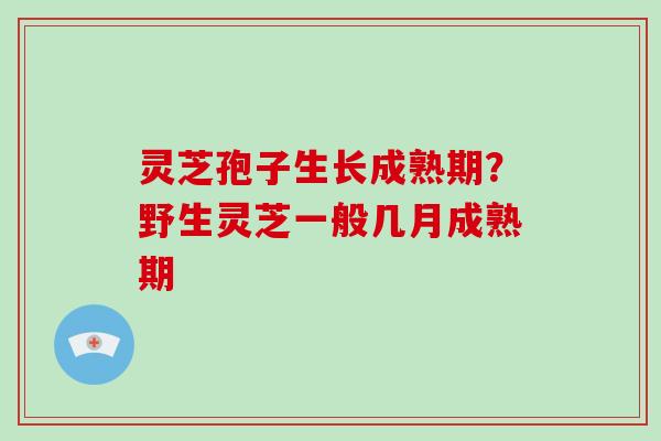 灵芝孢子生长成熟期？野生灵芝一般几月成熟期