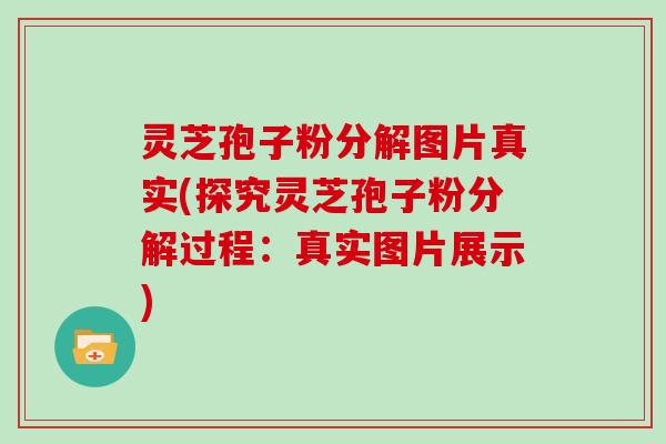 灵芝孢子粉分解图片真实(探究灵芝孢子粉分解过程：真实图片展示)