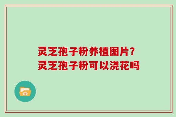 灵芝孢子粉养植图片？灵芝孢子粉可以浇花吗