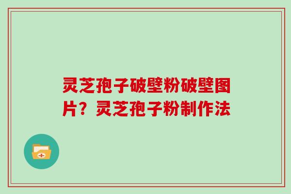 灵芝孢子破壁粉破壁图片？灵芝孢子粉制作法
