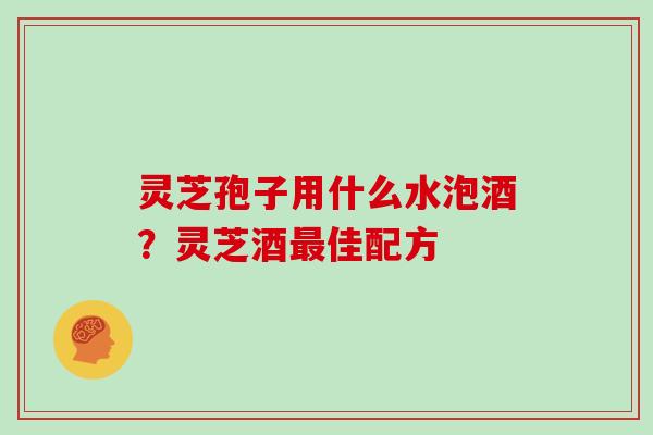 灵芝孢子用什么水泡酒?灵芝酒最佳配方-第1张图片-灵芝大师 灵芝孢子用什么水泡酒?灵芝酒最佳配方-第1张图片-灵芝大师