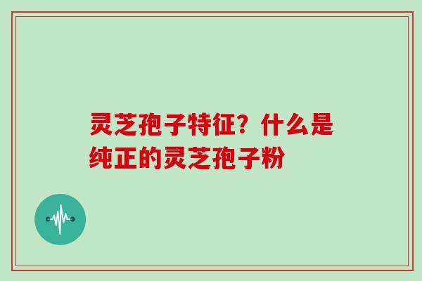 灵芝孢子特征？什么是纯正的灵芝孢子粉