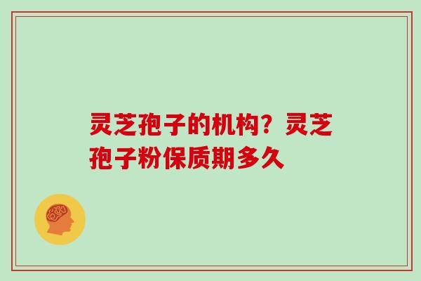灵芝孢子的机构?灵芝孢子粉保质期多久-第1张图片-灵芝大师 灵芝孢子的机构?灵芝孢子粉保质期多久-第1张图片-灵芝大师