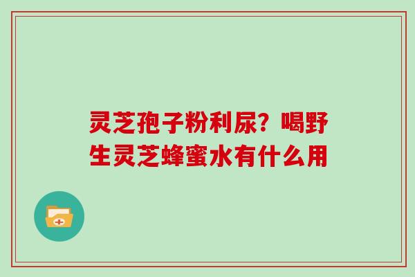灵芝孢子粉利尿？喝野生灵芝蜂蜜水有什么用