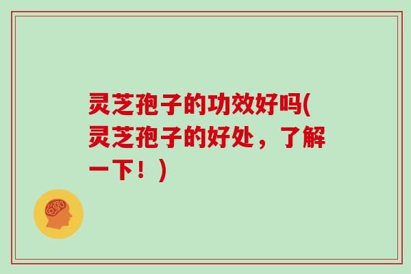 灵芝孢子的功效好吗(灵芝孢子的好处，了解一下！)