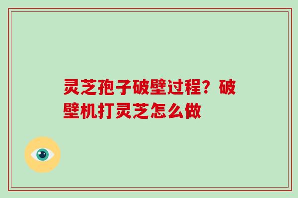 灵芝孢子破壁过程？破壁机打灵芝怎么做