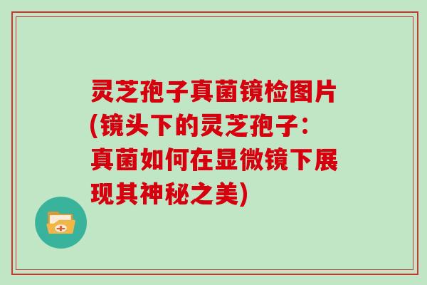 灵芝孢子真菌镜检图片(镜头下的灵芝孢子：真菌如何在显微镜下展现其神秘之美)