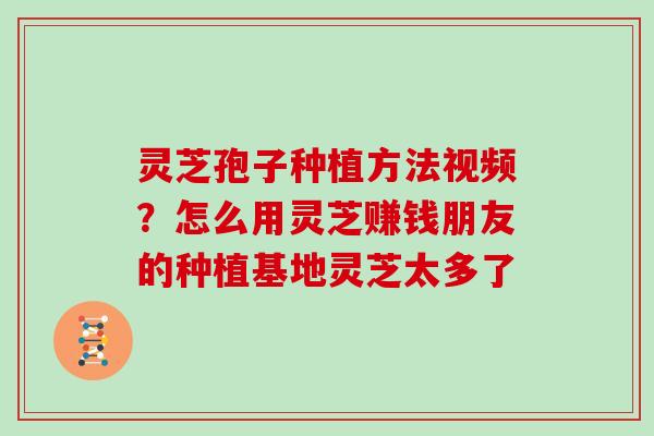 灵芝孢子种植方法视频？怎么用灵芝赚钱朋友的种植基地灵芝太多了