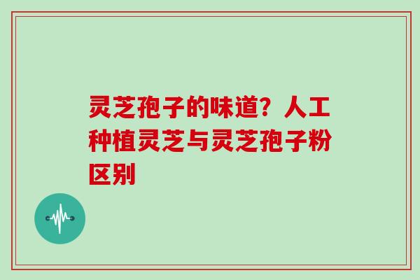 灵芝孢子的味道？人工种植灵芝与灵芝孢子粉区别