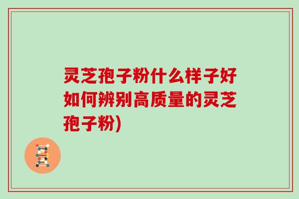 灵芝孢子粉什么样子好如何辨别高质量的灵芝孢子粉)