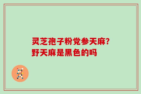 灵芝孢子粉党参天麻?野天麻是黑色的吗-第1张图片-灵芝大师 灵芝孢子粉党参天麻?野天麻是黑色的吗-第1张图片-灵芝大师
