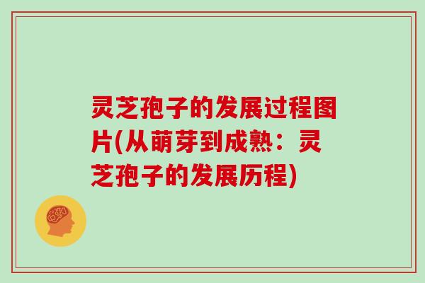 灵芝孢子的发展过程图片(从萌芽到成熟：灵芝孢子的发展历程)