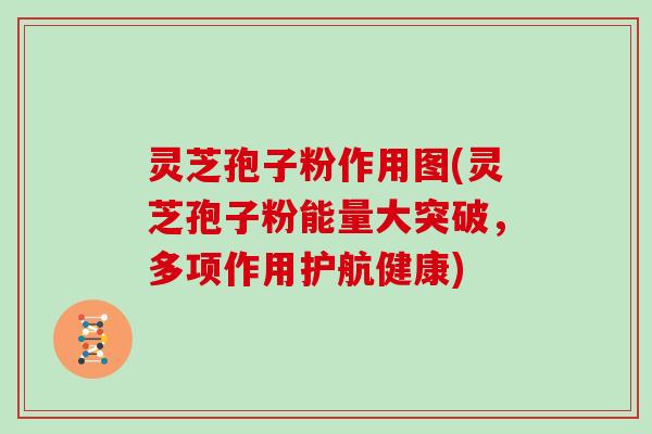 灵芝孢子粉作用图(灵芝孢子粉能量大突破,多项作用护航健康)-第1张图片-灵芝大师 灵芝孢子粉作用图(灵芝孢子粉能量大突破,多项作用护航健康)-第1张图片-灵芝大师