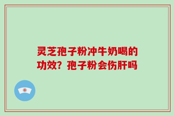 灵芝孢子粉冲牛奶喝的功效？孢子粉会伤肝吗
