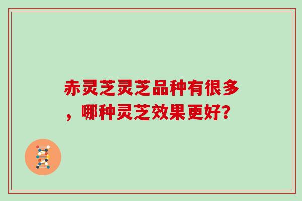 赤灵芝灵芝品种有很多，哪种灵芝效果更好？