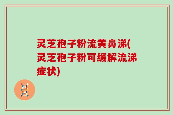 灵芝孢子粉流黄鼻涕(灵芝孢子粉可缓解流涕症状)