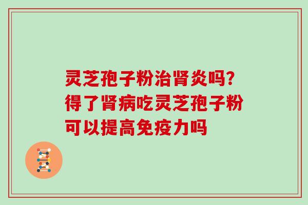 灵芝孢子粉治肾炎吗？得了肾病吃灵芝孢子粉可以提高免疫力吗