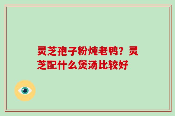 灵芝孢子粉炖老鸭？灵芝配什么煲汤比较好