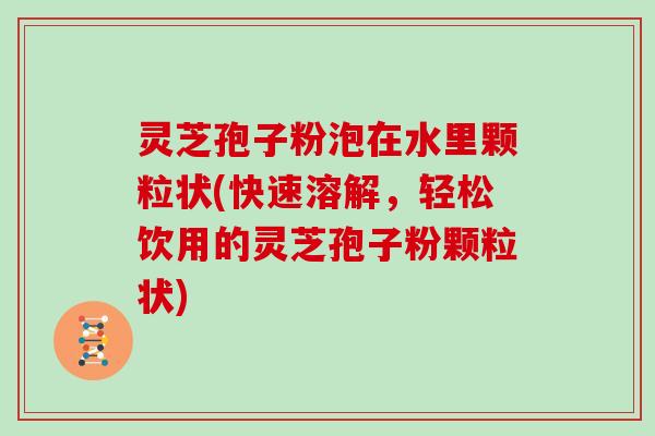 灵芝孢子粉泡在水里颗粒状(快速溶解，轻松饮用的灵芝孢子粉颗粒状)
