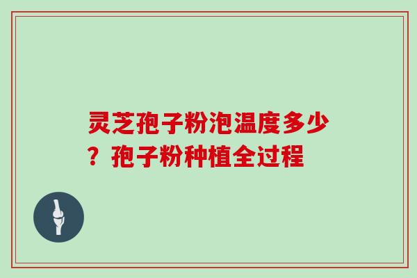 灵芝孢子粉泡温度多少?孢子粉种植全过程-第1张图片-灵芝大师 灵芝孢子粉泡温度多少?孢子粉种植全过程-第1张图片-灵芝大师