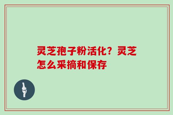 灵芝孢子粉活化？灵芝怎么采摘和保存