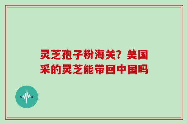 灵芝孢子粉海关？美国采的灵芝能带回中国吗
