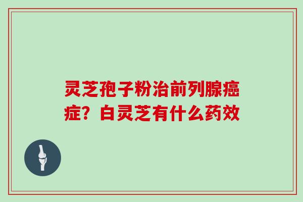 灵芝孢子粉治前列腺癌症？白灵芝有什么药效