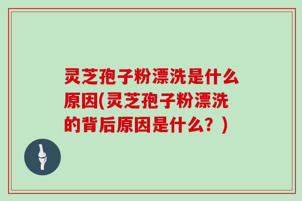 灵芝孢子粉漂洗是什么原因(灵芝孢子粉漂洗的背后原因是什么？)