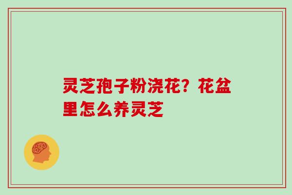 灵芝孢子粉浇花？花盆里怎么养灵芝