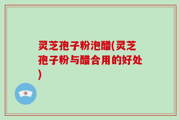 灵芝孢子粉泡醋(灵芝孢子粉与醋合用的好处)