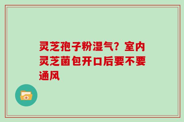 灵芝孢子粉湿气？室内灵芝菌包开口后要不要通风-第1张图片-灵芝大师