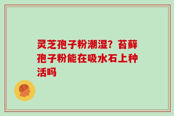灵芝孢子粉潮湿？苔藓孢子粉能在吸水石上种活吗