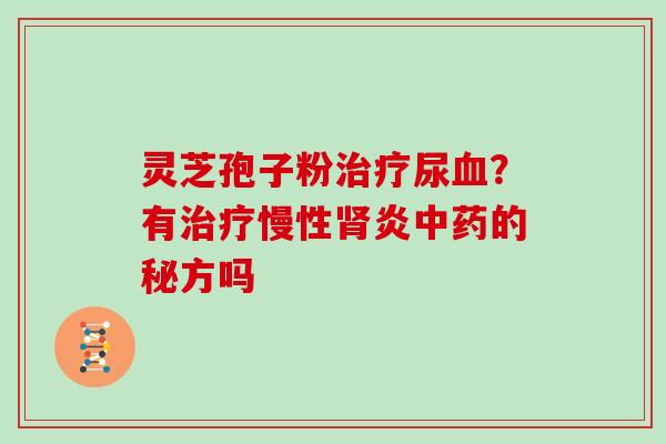 灵芝孢子粉治疗尿血？有治疗慢性肾炎中药的秘方吗