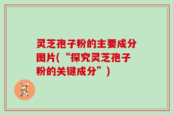 灵芝孢子粉的主要成分图片(“探究灵芝孢子粉的关键成分”)
