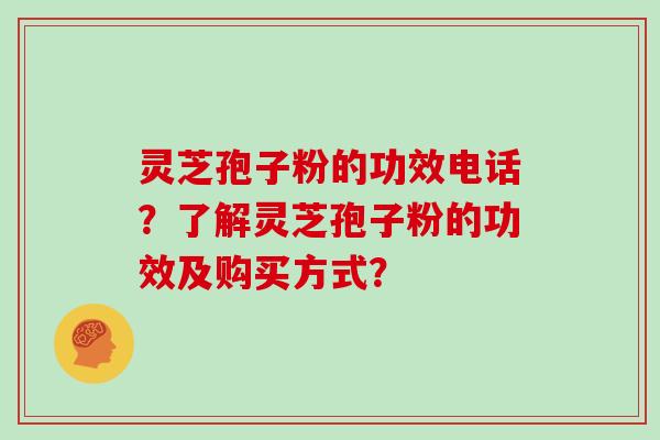 灵芝孢子粉的功效电话？了解灵芝孢子粉的功效及购买方式？