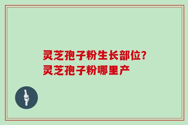灵芝孢子粉生长部位？灵芝孢子粉哪里产