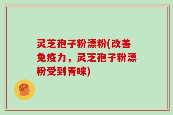 灵芝孢子粉漂粉(改善免疫力，灵芝孢子粉漂粉受到青睐)