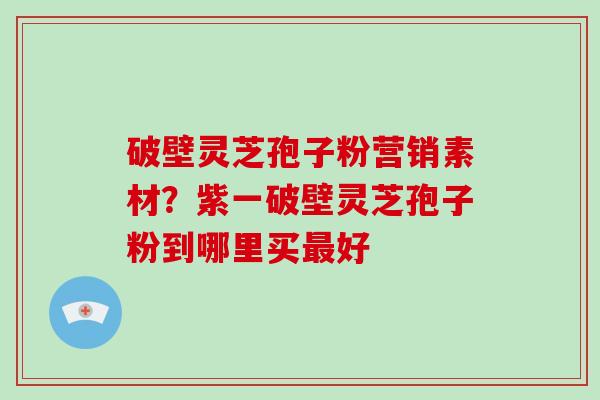 破壁灵芝孢子粉营销素材？紫一破壁灵芝孢子粉到哪里买最好
