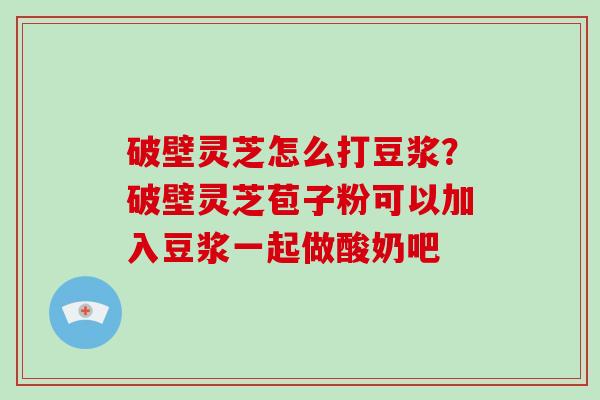 破壁灵芝怎么打豆浆？破壁灵芝苞子粉可以加入豆浆一起做酸奶吧