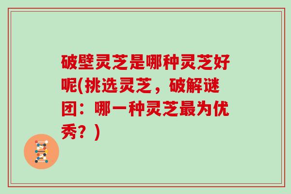 破壁灵芝是哪种灵芝好呢(挑选灵芝，破解谜团：哪一种灵芝最为优秀？)