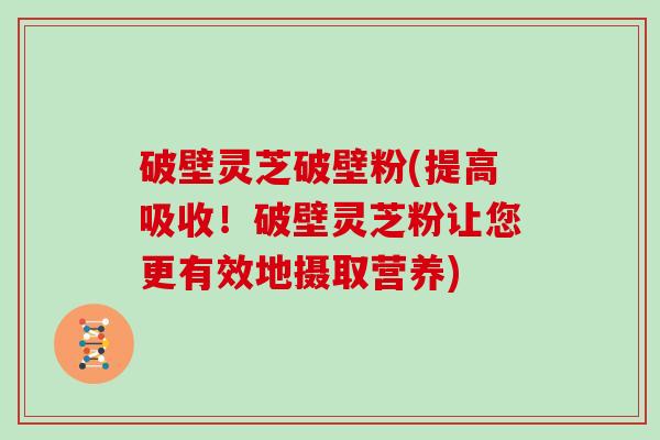 破壁灵芝破壁粉(提高吸收！破壁灵芝粉让您更有效地摄取营养)