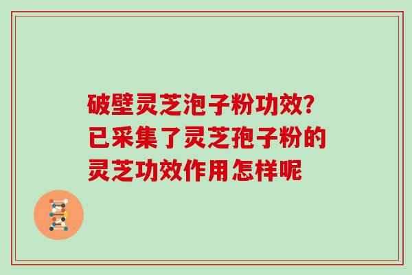 破壁灵芝泡子粉功效？已采集了灵芝孢子粉的灵芝功效作用怎样呢
