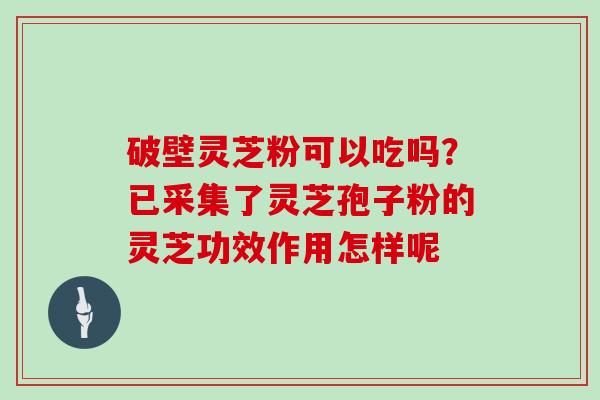 破壁灵芝粉可以吃吗？已采集了灵芝孢子粉的灵芝功效作用怎样呢