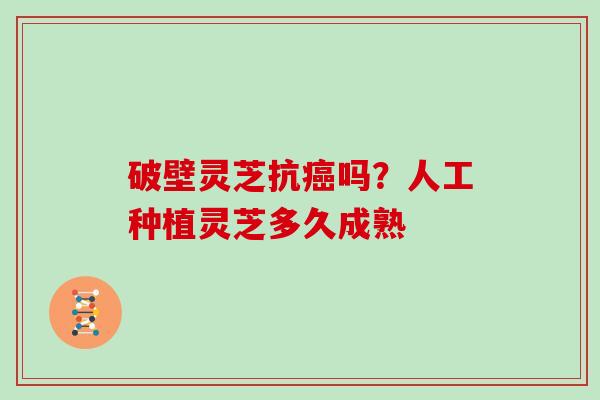 破壁灵芝抗癌吗？人工种植灵芝多久成熟