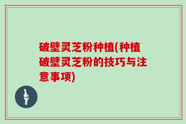 破壁灵芝粉种植(种植破壁灵芝粉的技巧与注意事项)