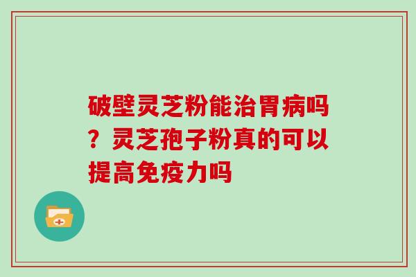 破壁灵芝粉能治胃病吗？灵芝孢子粉真的可以提高免疫力吗