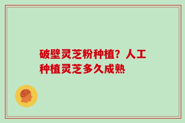 破壁灵芝粉种植？人工种植灵芝多久成熟