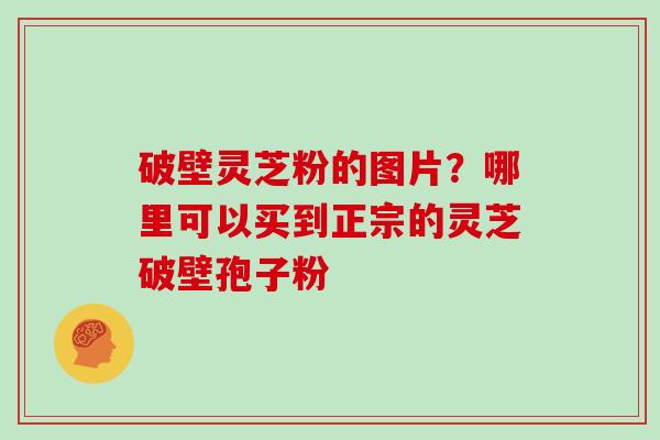 破壁灵芝粉的图片?哪里可以买到正宗的灵芝破壁孢子粉-第1张图片-灵芝大师 破壁灵芝粉的图片?哪里可以买到正宗的灵芝破壁孢子粉-第1张图片-灵芝大师
