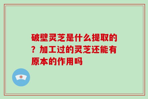 破壁灵芝是什么提取的？加工过的灵芝还能有原本的作用吗