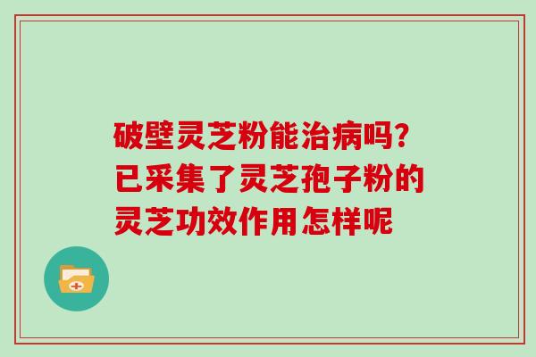 破壁灵芝粉能治病吗？已采集了灵芝孢子粉的灵芝功效作用怎样呢